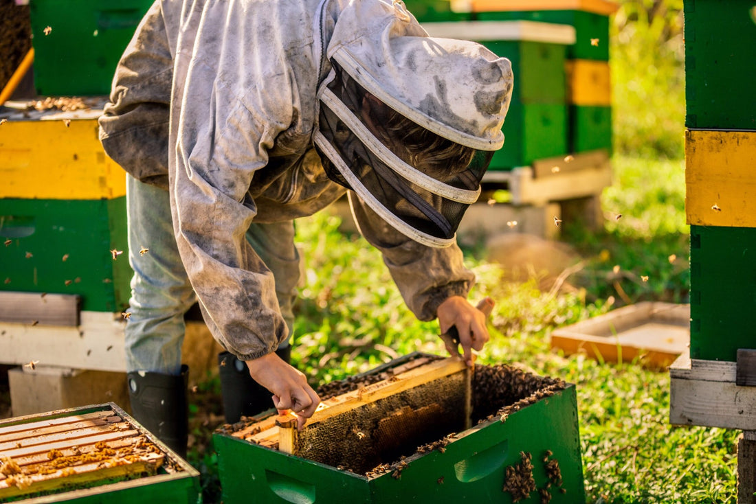 Good Measure Farm, Raw Honey, Bees Wax Products