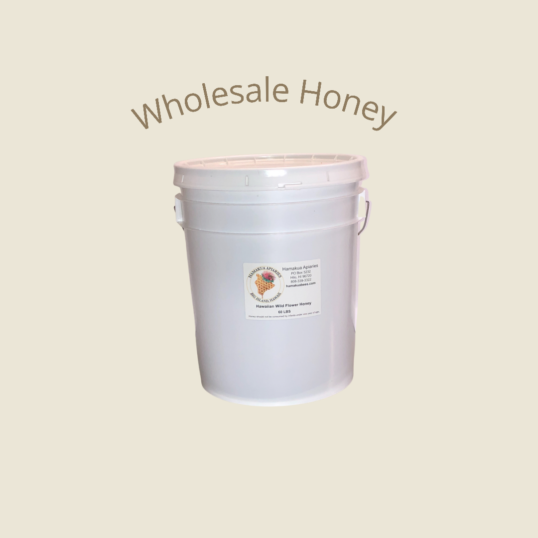 Wholesale Honey